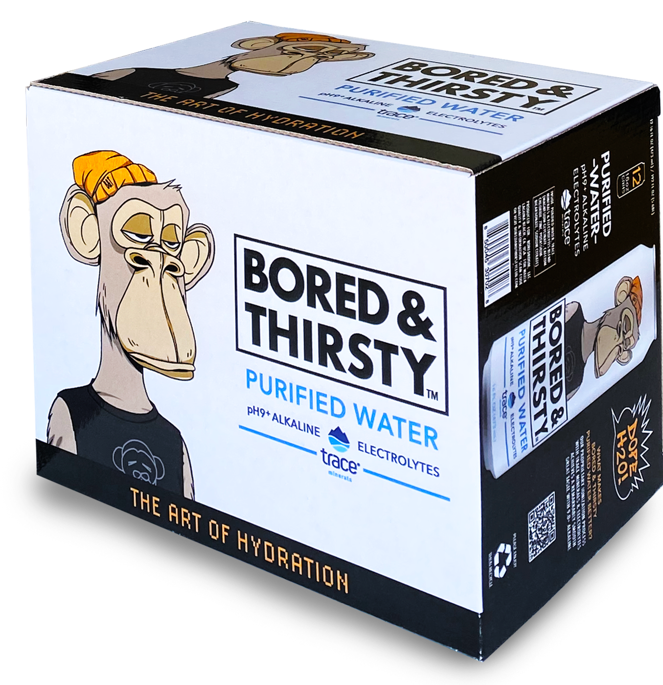 PURIFIED WATER 12 PACK